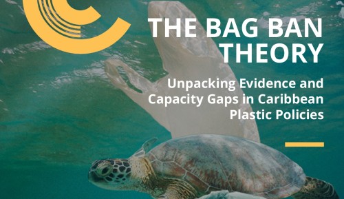 The Bag Ban Theory: Unpacking Evidence and Capacity Gaps in Caribbean